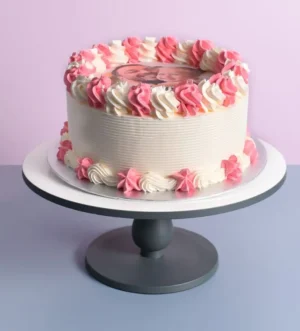 Colour Theme Photo Cake 2