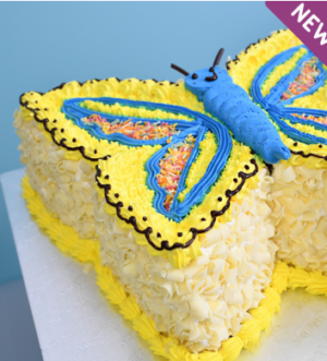 Sunny Sky Butterfly Cake