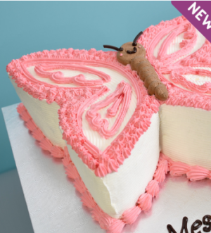 Pretty in Pink Butterfly Cake