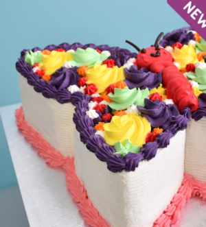 Rainbow Wings Butterfly Cake